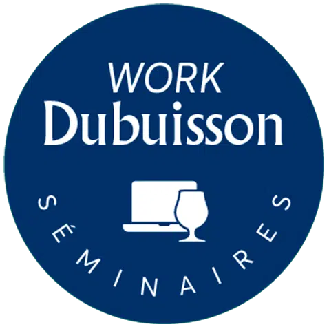 Discover|2024-Salles de séminaire – Work Dubuisson