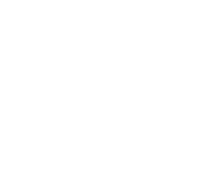 Discover|2024-Accueil